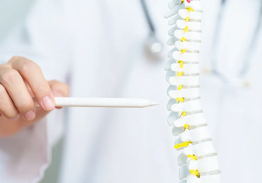 Spinal Analysis